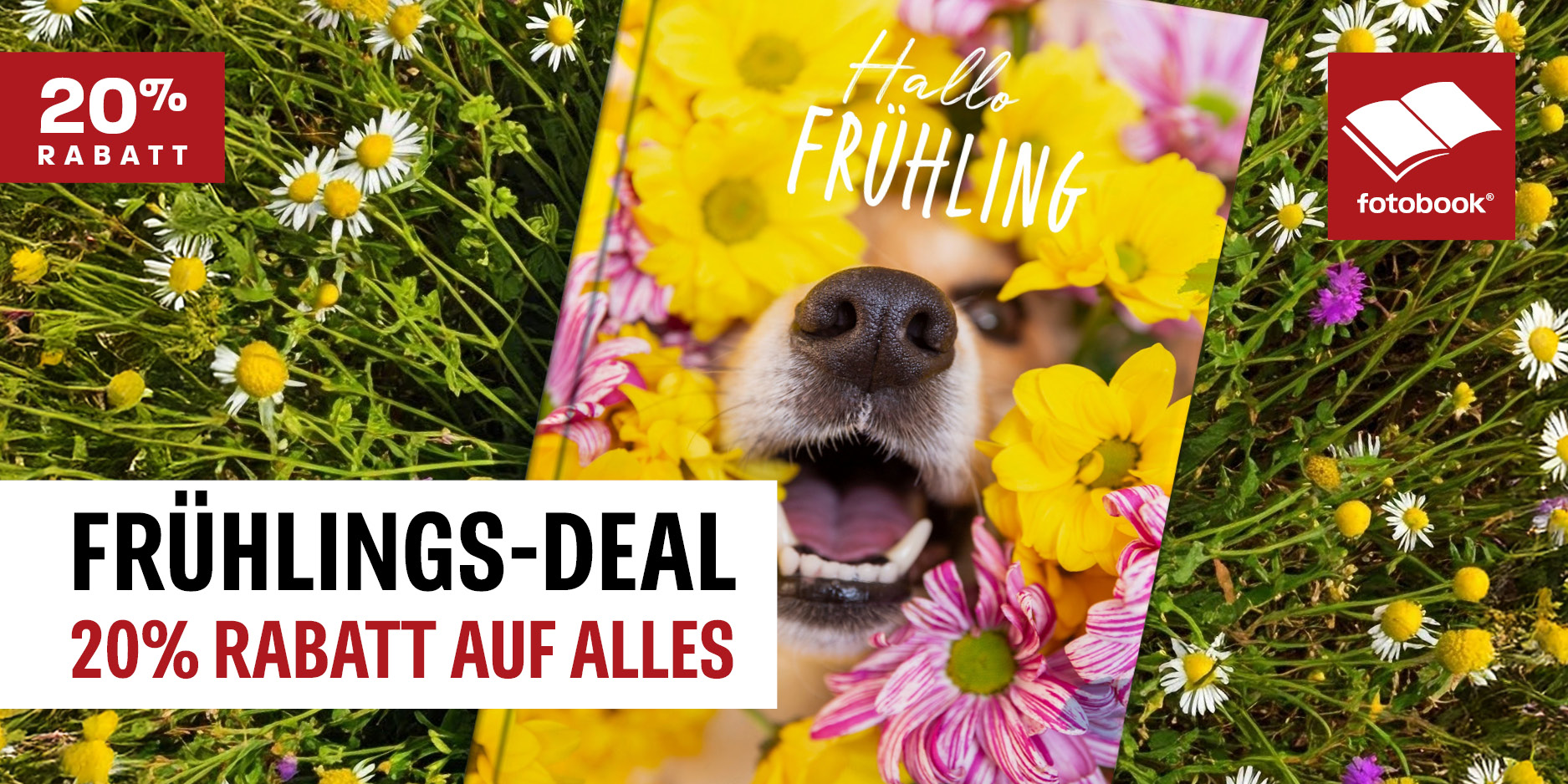 FB_Frühling